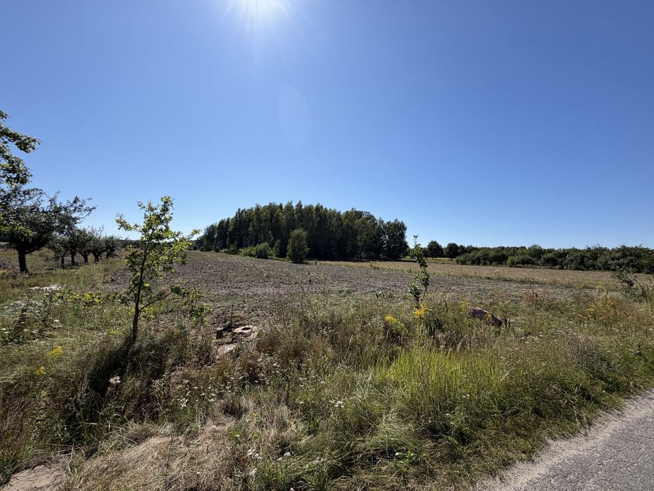 Dzialka 55 arów Antoninów - Widok 3