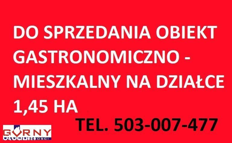 Karczma, restauracja, bar, hotel, biznes, lokal