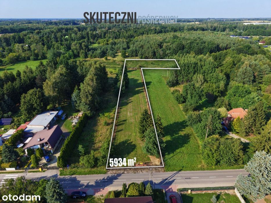 Swędów | 5934 m² | gm. Stryków