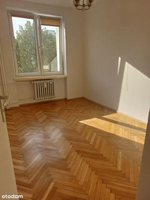 Zdjęcie 5