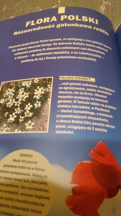 Przyroda Polski i  przygoda z przyrodą 2 książki