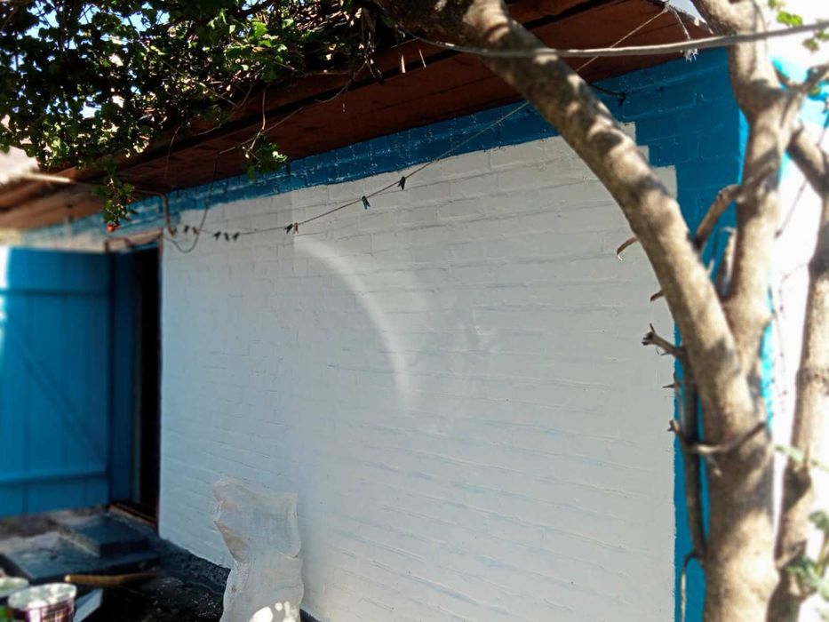 Продам будинок с.Ново-Місто