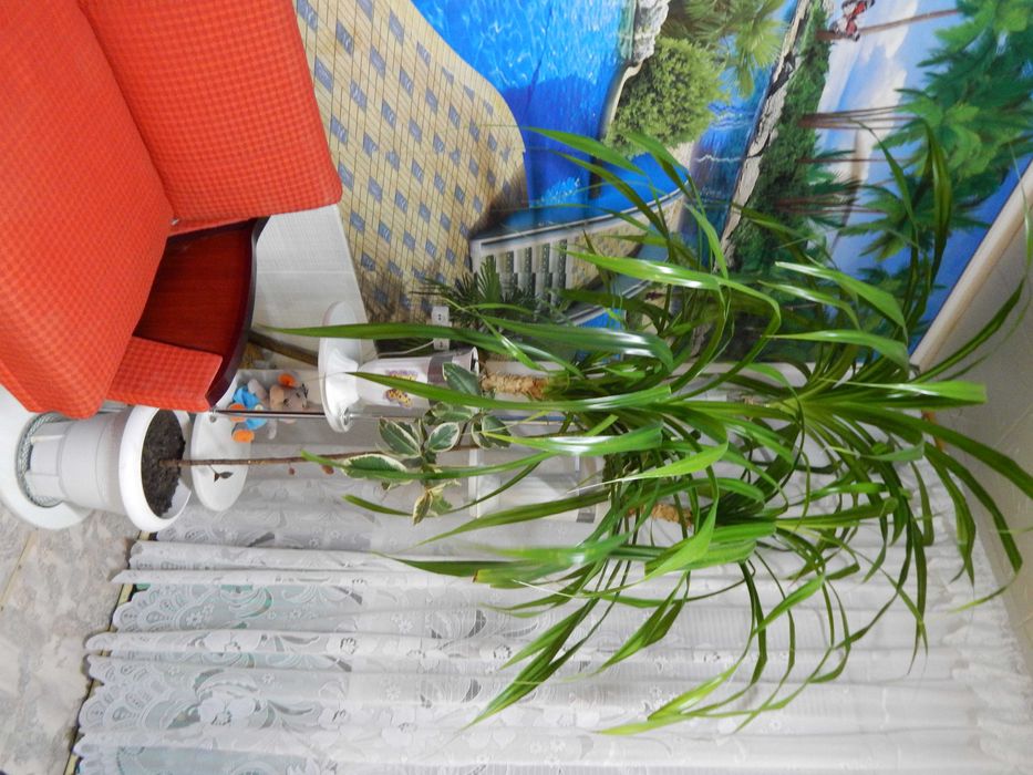 Сдаю квартиру почасово, посуточно спальных мест 2+2+2