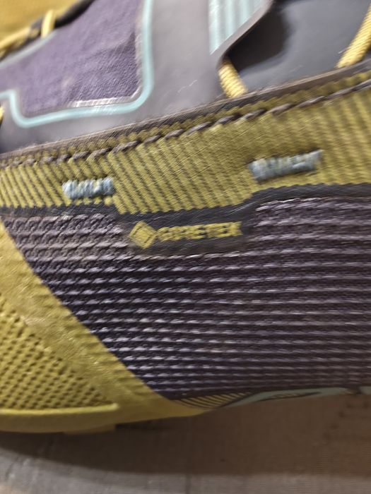 NOWE Buty Dynafit Transalper GORE-TEX
