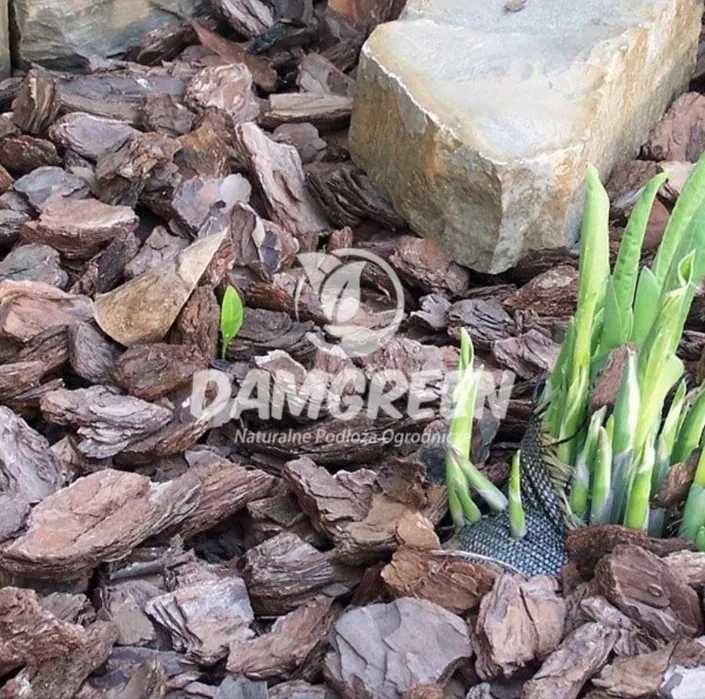 Kora Sosnowa 80L Transport Gratis