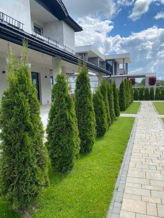 Продаж будинку с.Кожичі 285м.кв. 10сот землі 650000у.о.
