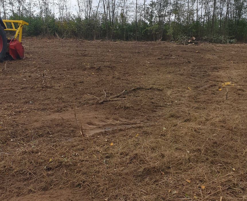 wycinka rekultywacja koszenie mulczowanie czyszczenie działek