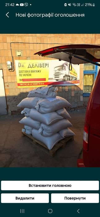 Канадська соя АББІ 1-А РЕПРОДУК на ПОСІВ! Рання Відправка НП! Делівері