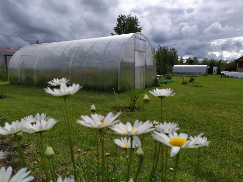 Szklarnia z poliwęglanu 3x4 3x6 3x8 3x10 3x12 PRODUCENT DOSTAWA GRATIS