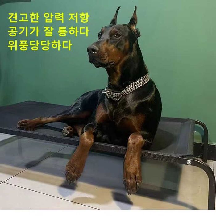 кровать , лежанка для собак