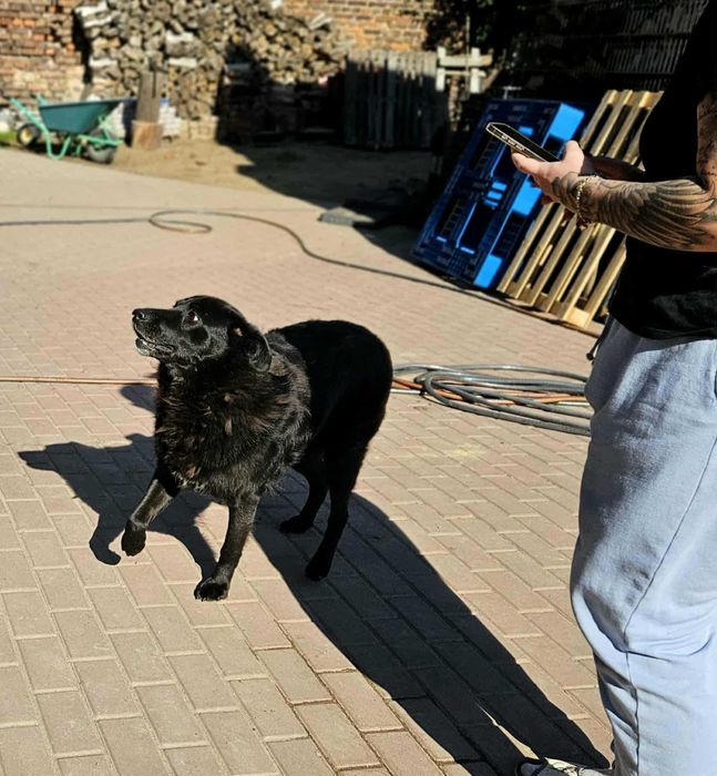 Luka i Diego szukamy cudu ale próbujemy