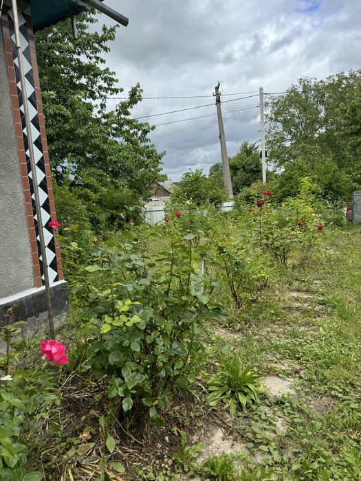 Будинок для спокійного життя  за містом.