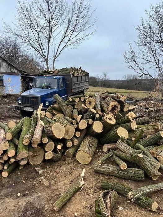 Дрова до вашого дому різних порід.
