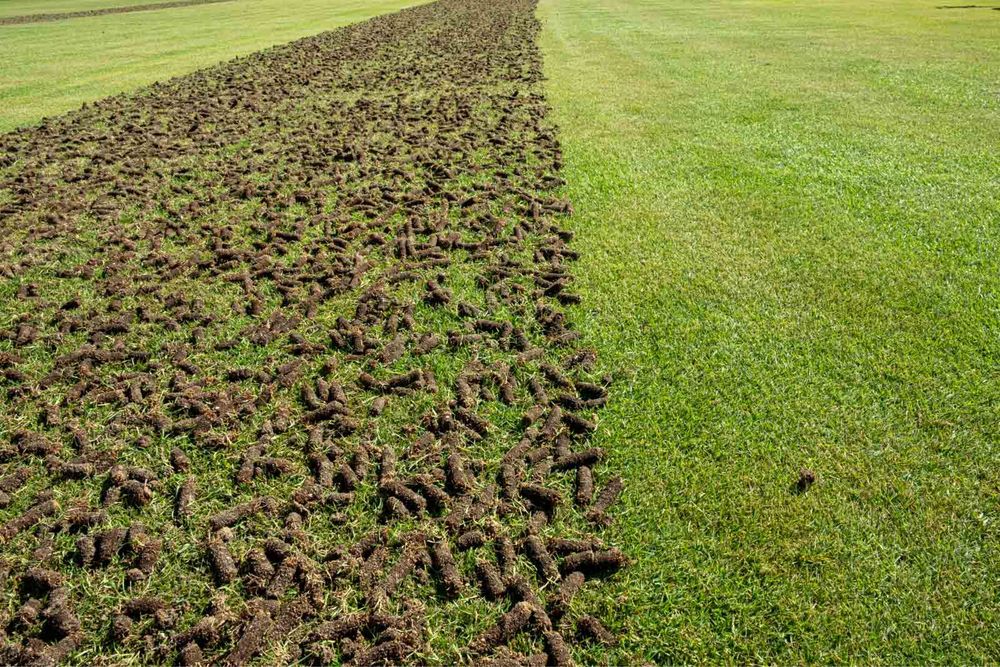 **Aerator Rurkowy wynajem 250zł**