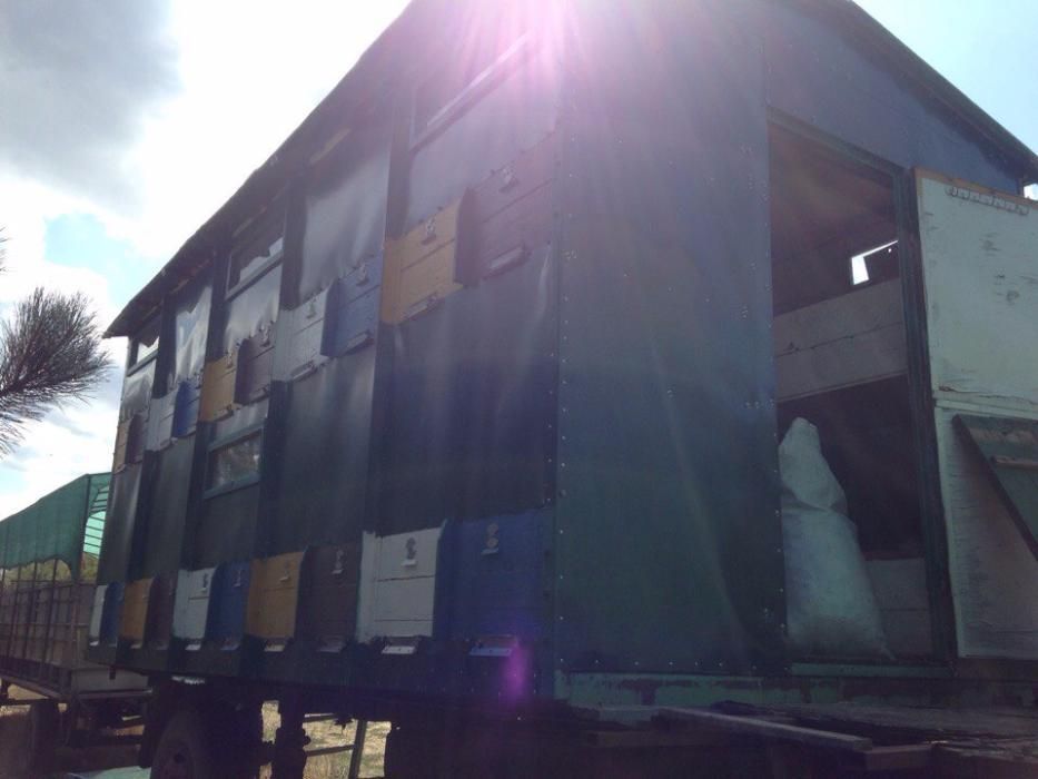 Продам пчёлопавильен