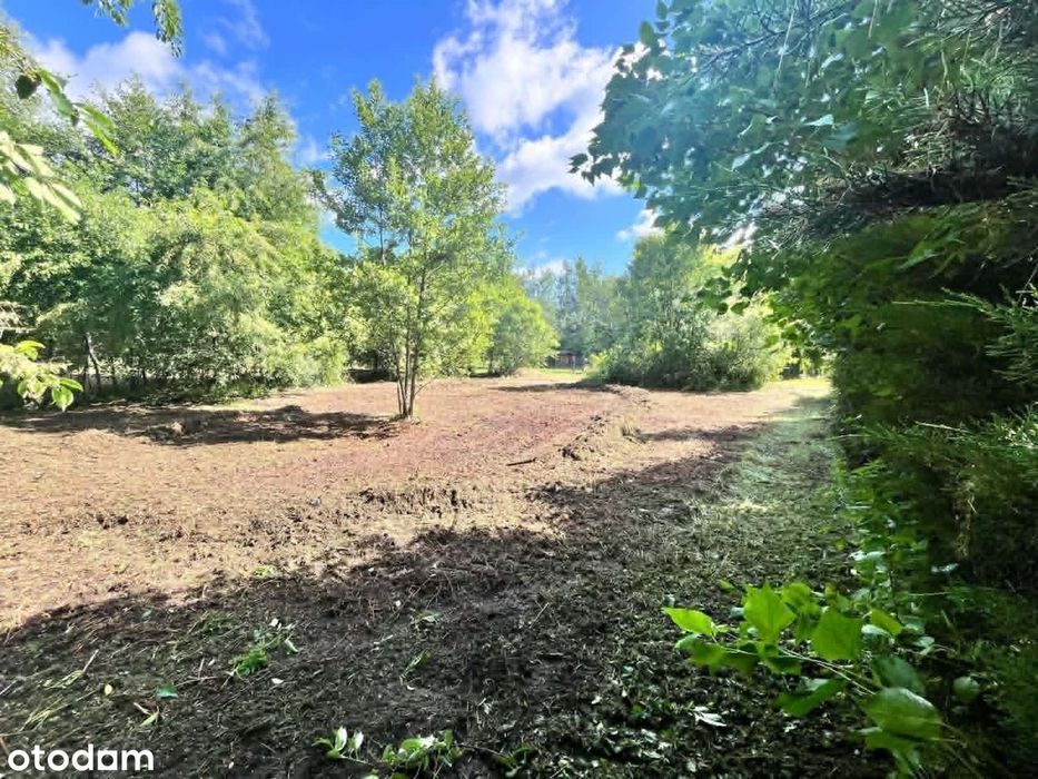Działka budowlana 1288m² Rokitnica|przy lesie i stawie|Prąd na działce - Widok 3