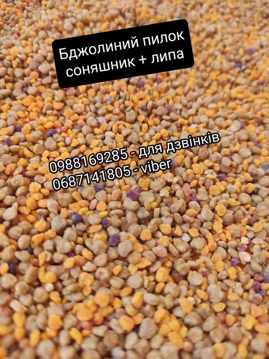 Бджолиний  пилок