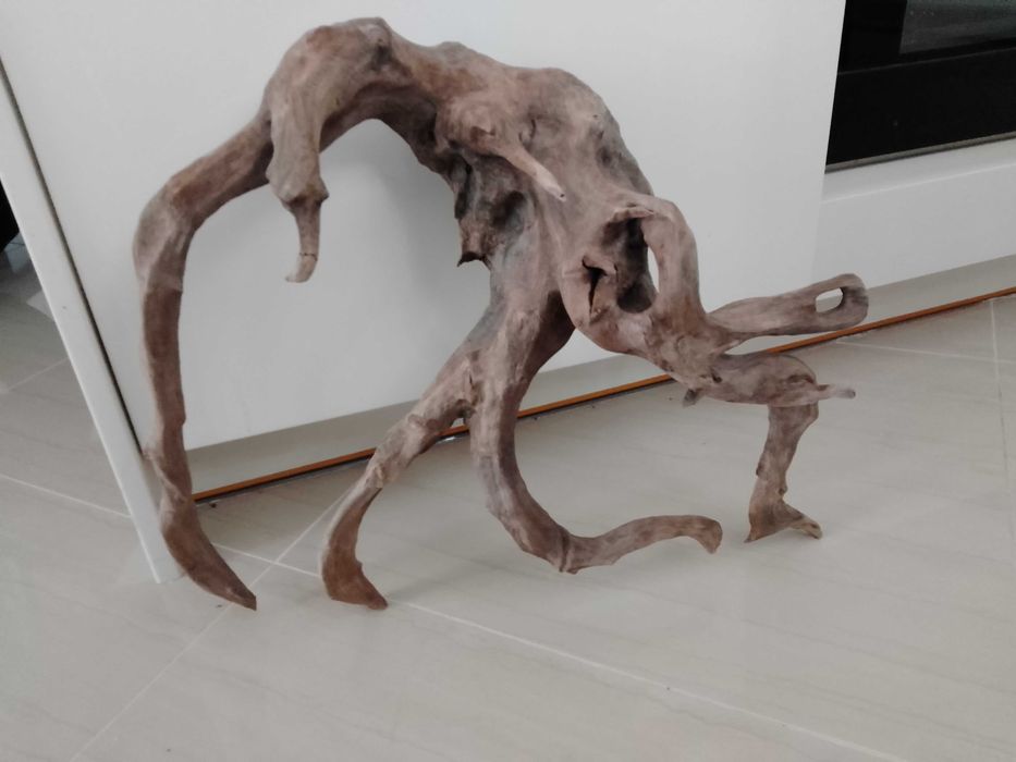 Korzenie do akwarium.bardz ładny