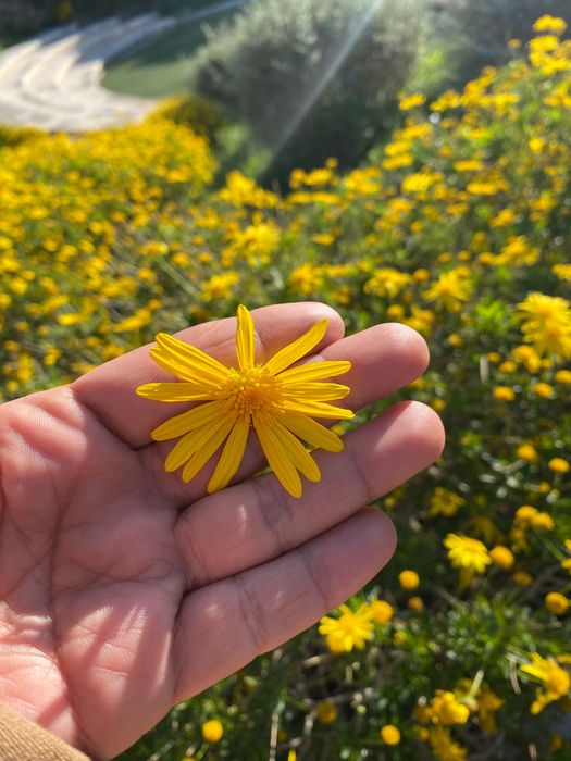 Acompanhamento Familiar em Casa – Lisboa