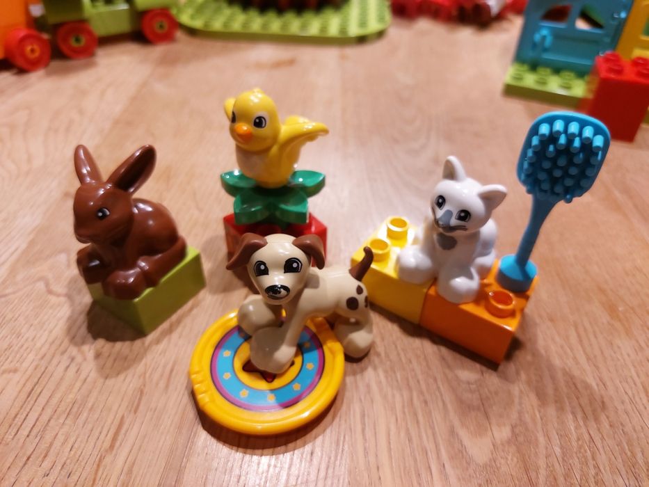 LEGO 10838 Duplo Zwierzątka domowe 2-5