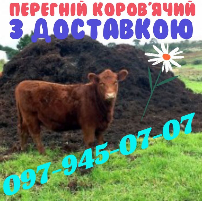 Перегній коров'ячий з доставкою. Перегной,навоз,коровяк,сырец.