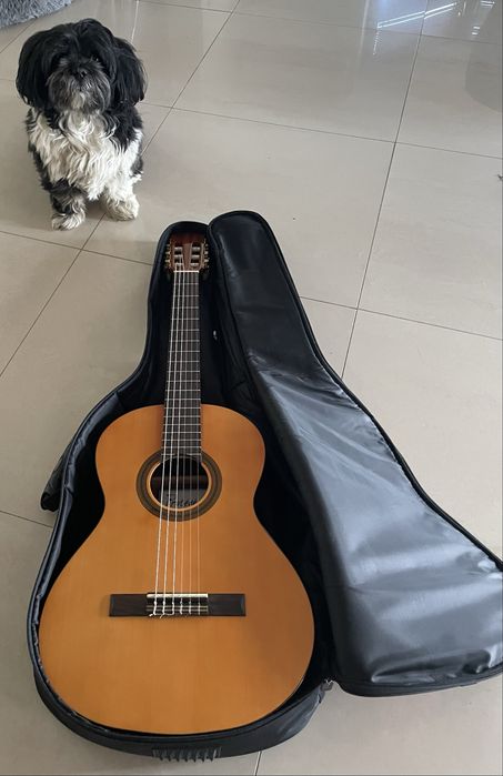 Gitara Klasyczna 3/4 Cordoba Protege C 1 z pokrowcem CANTO