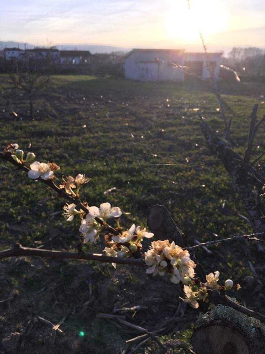 Terreno com mini casa