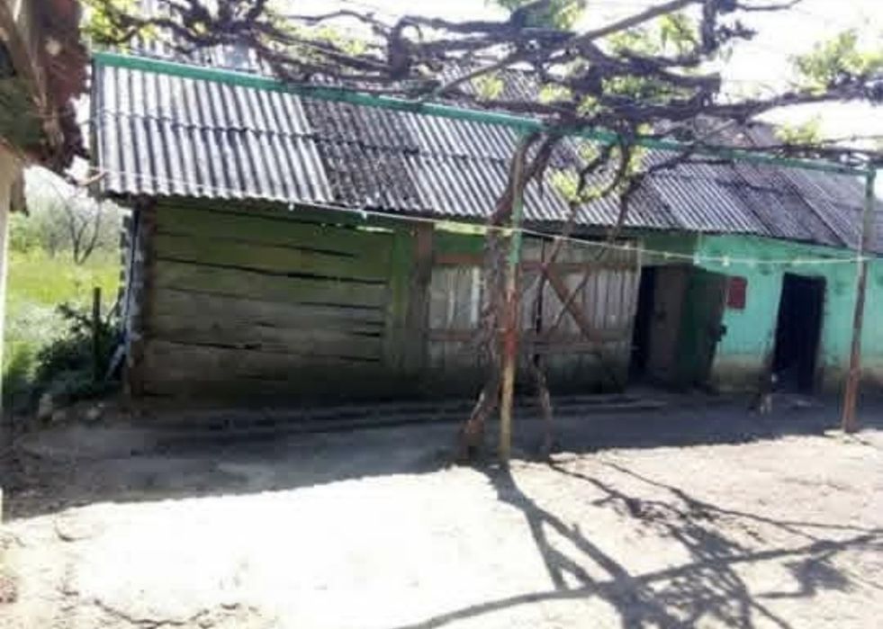 Продам будинок під лісом , може бути дача