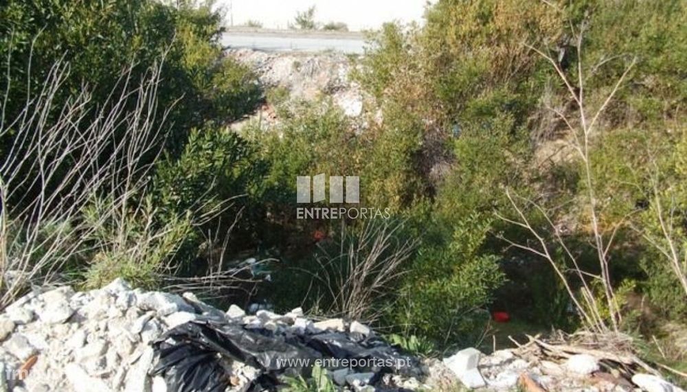 Venda de Lote, Darque, Viana do Castelo