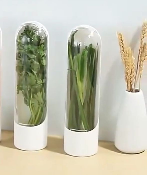 Caixa de conservação de ervas aromáticas