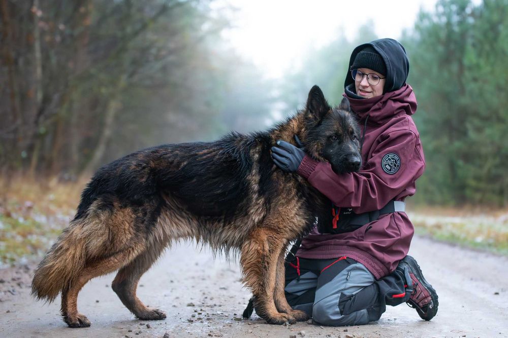 VOTAN - piękny, spokojny owczarkowy jegomość