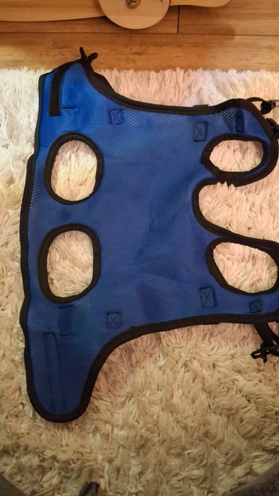 Wozek inwalidzki dla kota