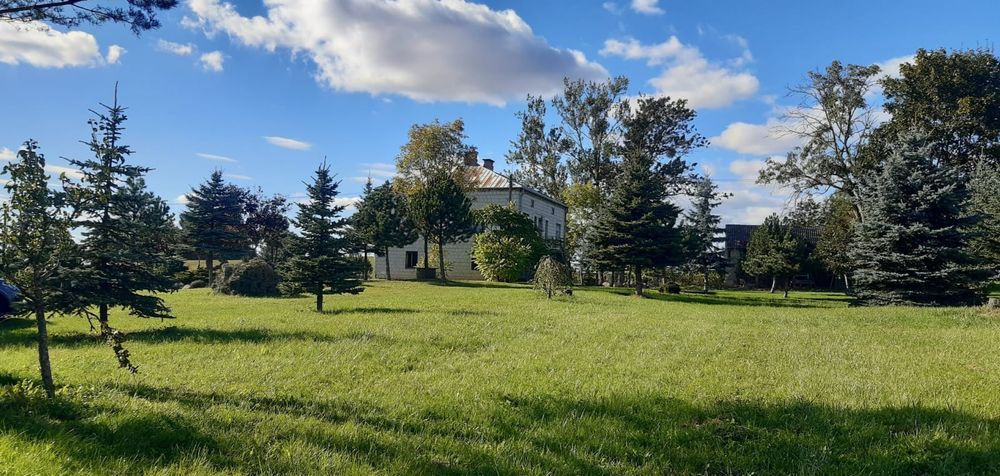 Sprzedam Siedlisko 7,26 ha, Rutki Nowe, bez posrednikow