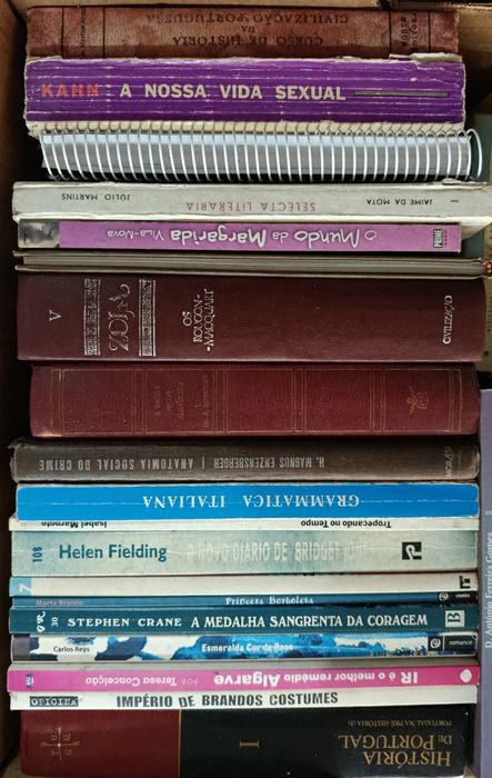 Lote  de  Diversos  LIVROS  Usados ( 1 ) Velharias