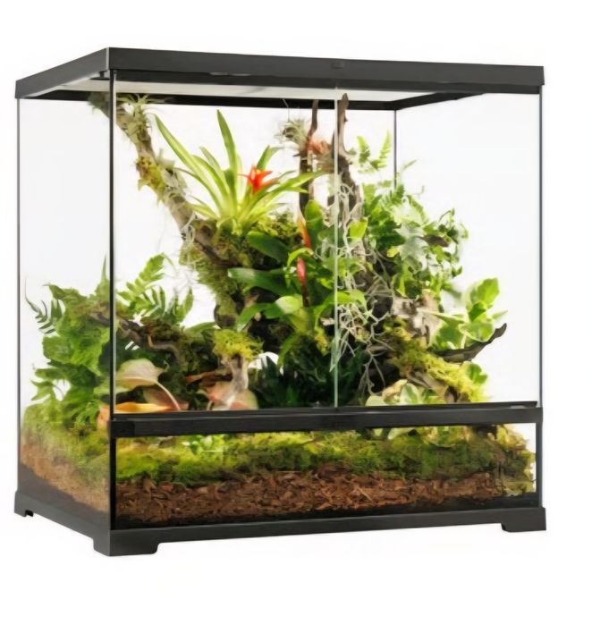 Terrarios deferentes tamanhos