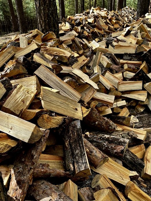 Drewno opałowe sosna