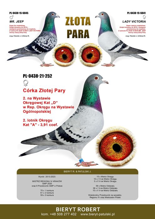Para Patulski & Bieryt gołębie pocztowe