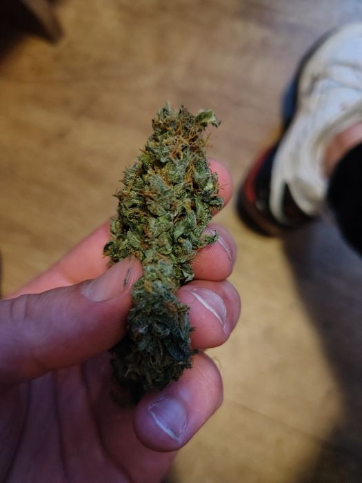 Dowóz 24/7 Mega Skunk Skun 10 gram CBD