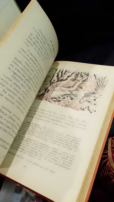 Aventuras de Pedrinho 1958 M. B. Lourenço Filho