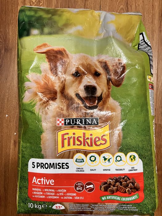 Karma Purina Active 10 kg