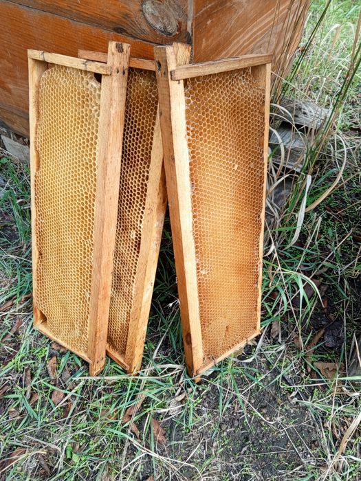 Продам вулики 12,10,9рамкові ,рамки,суш