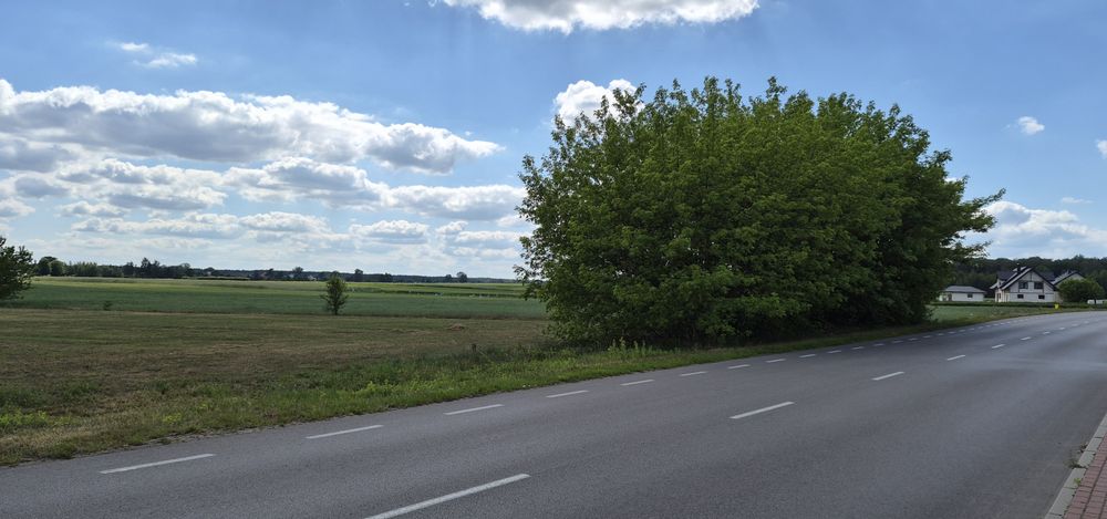 Okazja - działka 1117 m² w Radoryżu Smolanym - Widok 2