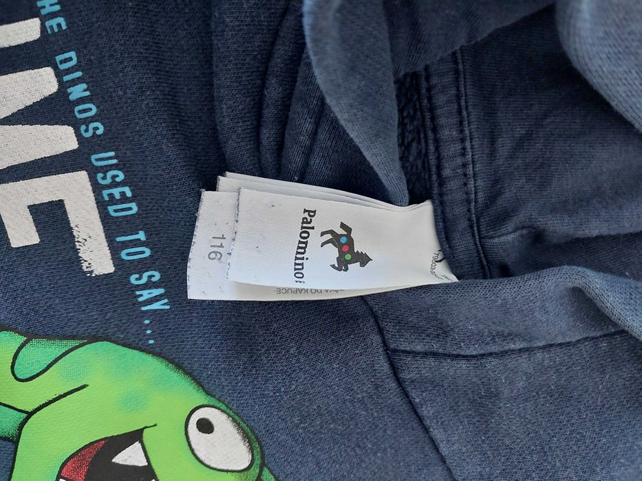 Bluzy z kapturem r. 116cm