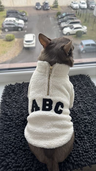 Одяг для собак, худіки теді, класний на весну (різні розміри)