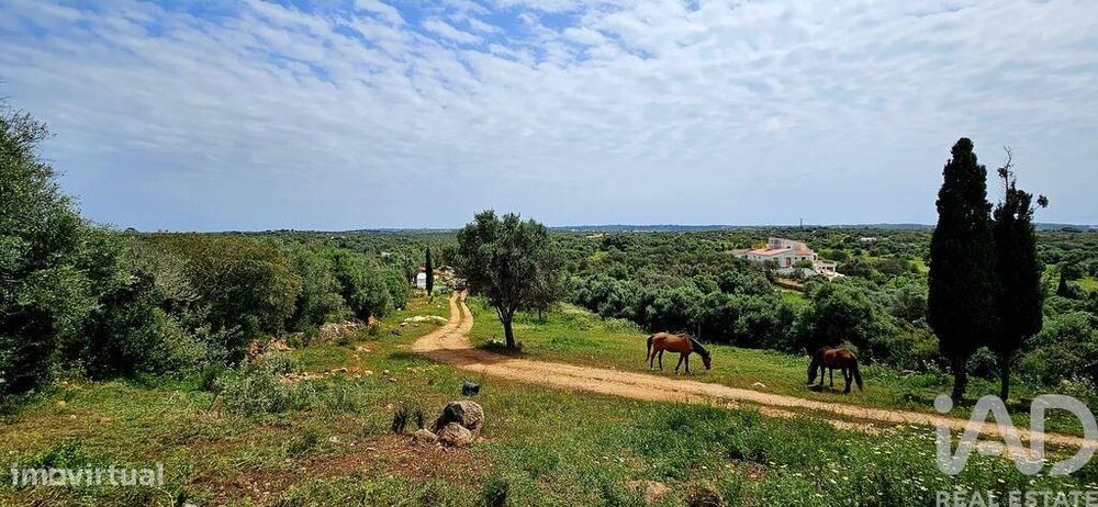 Terreno em Barão de São Miguel