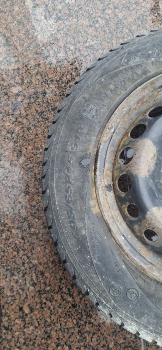 Диски з шинами Белшина 195/65/15