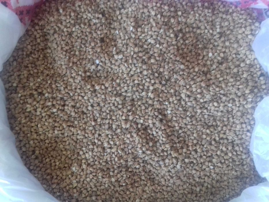 Продається гречка.Приймаємо на переробку.