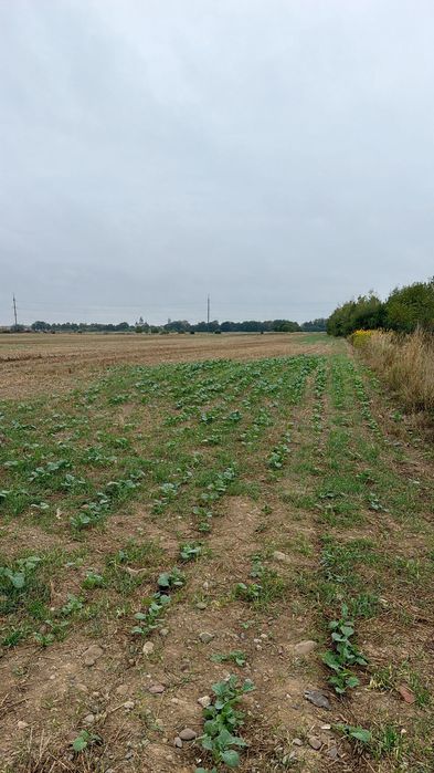 Продаж земельної ділянки м.Стрий