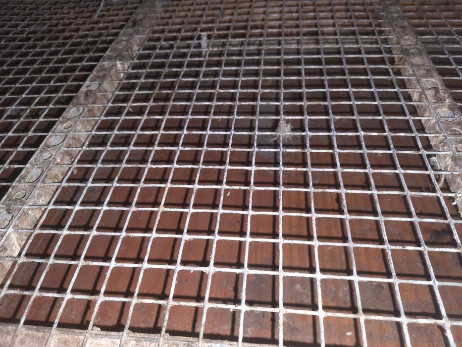 Брудер для птиці.