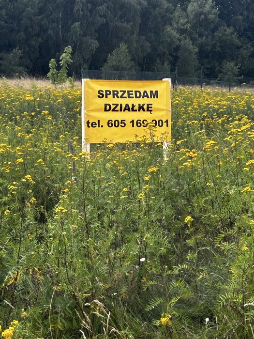 Dzialka Mosina kolo Szczecinka. Gmina Szczecinek